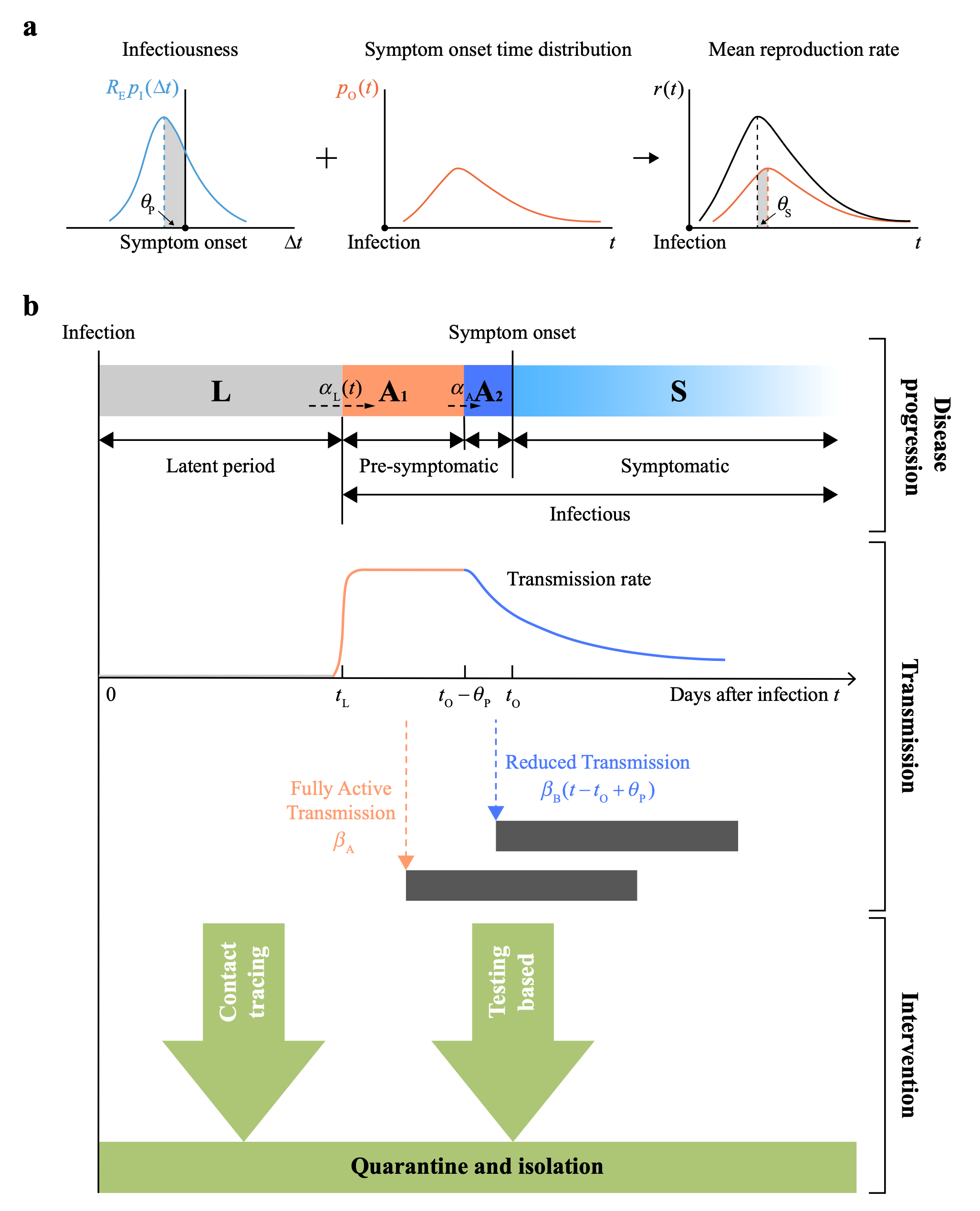 Figure 2: The basic model construct