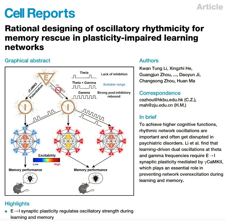 Graphical Abstract