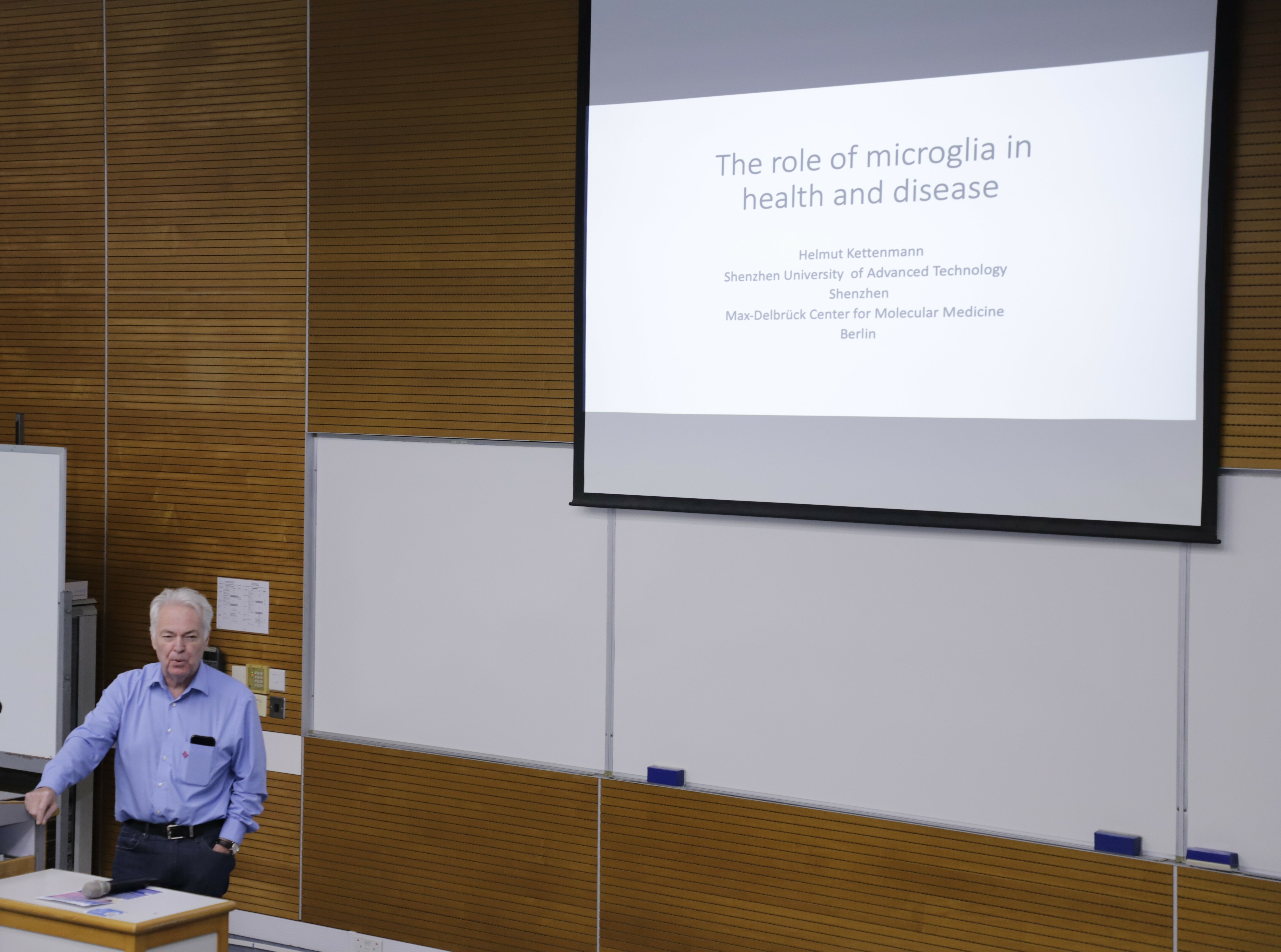 Physics Seminar: The Role of Microglial Cells in Health and Disease_2