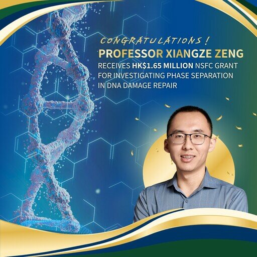 Physics Seminar: Correlation behavior of protein condensate