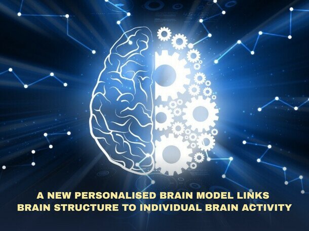 A New Personalised Brain Model Links Brain Structure to Individual Brain Activity